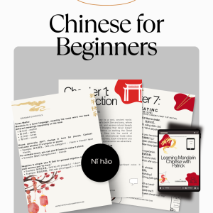 Copy of chinese for beginners marketing (2)