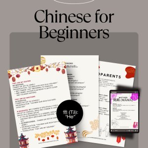 Video of chinese for beginners marketing